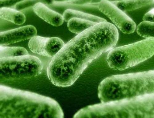 Food for Thought on Probiotics