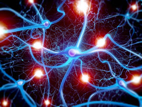 FQ Peripheral Neuropathy